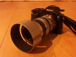 Canon85mmF1.5