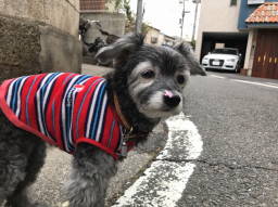 ルナ