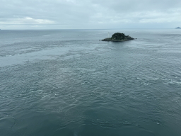 ��̂�����