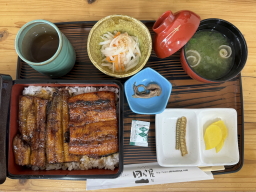 �l���\��