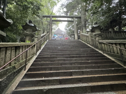 �����䗅�{