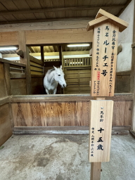 �����䗅�{