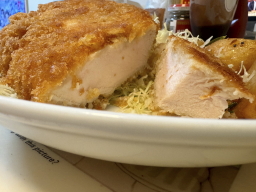 �`�L���J�c