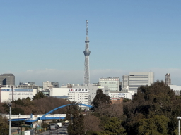 �X�J�C�c���[