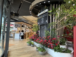 �z���_�{��