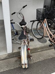 �^���f�����]��