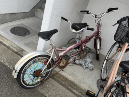 �^���f�����]��