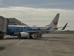 �W���x�G�W�F�b�g