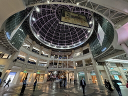 �A�[�P�[�h�X