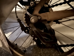 �f�B���[���[