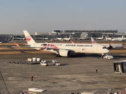 ��J�ĕ����b�s���O�@