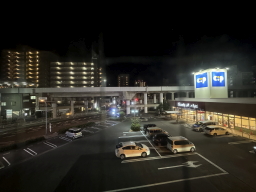 �z�e���T���V���C������